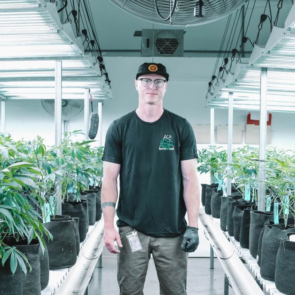 Cannabis Retail Lawyers